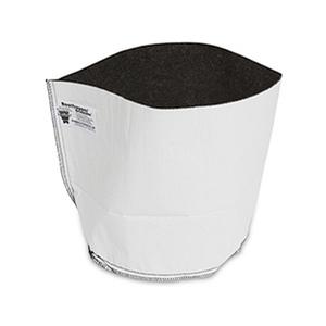 The Story Behind the