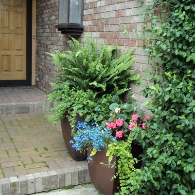 shade planters