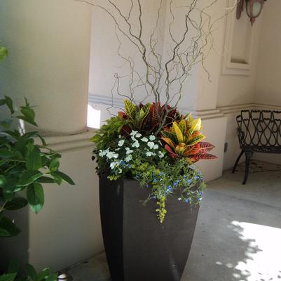 shade planter