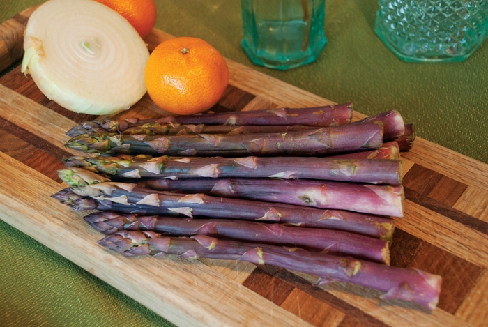 Purple Passion Asparagus - Asparagus 'Purple Passion' from Faller Landscape