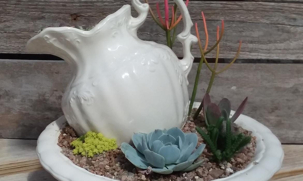 Succulent Planters
