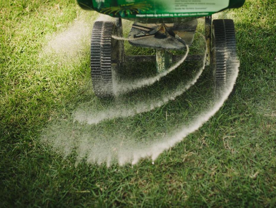 Fall lawn care