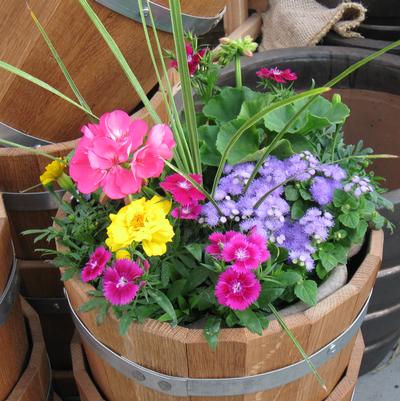 Mother's Day Planter
