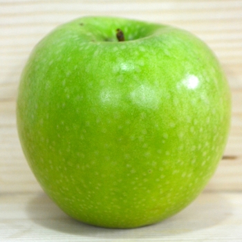 Malus 'Granny Smith' - Granny Smith Apple