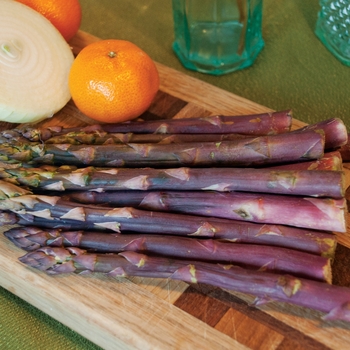 Asparagus 'Sweet Purple' - Sweet Purple Asparagus