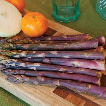 Asparagus 'Purple Passion' - Purple Passion Asparagus