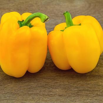 Capsicum annuum - 'Golden California Wonder' Capsicum annuum - 'Golden California Wonder'
