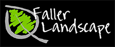 Faller Landscape