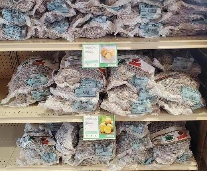 Seed Potatoes