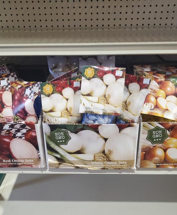 Onion sets/plants Onion sets/plants
